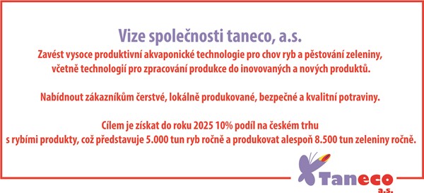 Vize společnosti